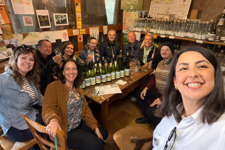 Alsace Half Day Wine Tour from Colmar
