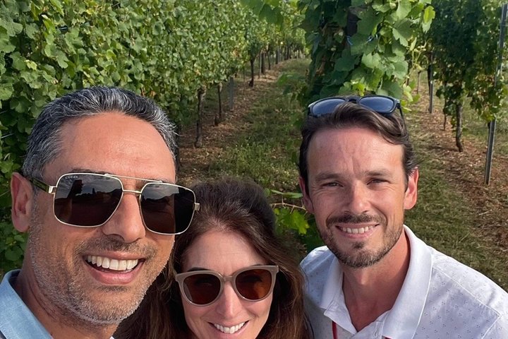 Alsace Half Day Wine Tour from Colmar