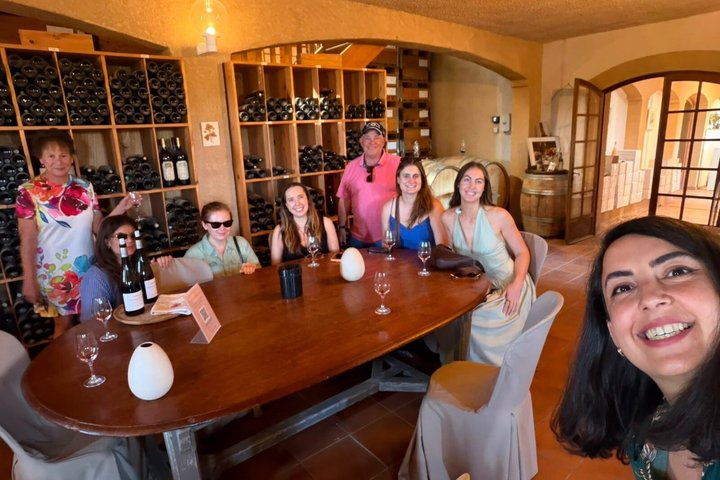 Provence small group half-day wine tour from Aix