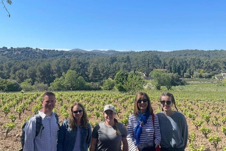 Provence small group half-day wine tour from Aix