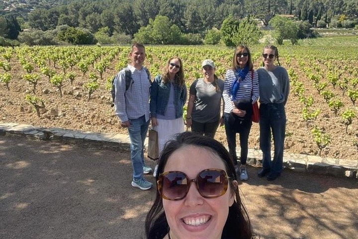 Provence small group half-day wine tour from Aix