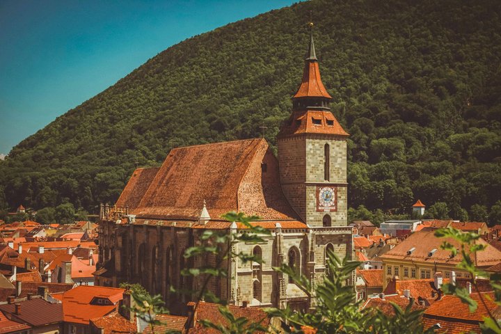 From Bucharest: Bear Sanctuary, Dracula's Castle & Brasov