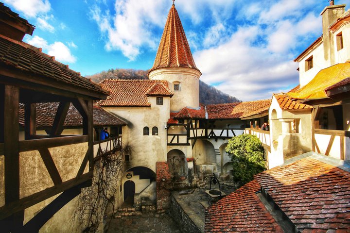 From Bucharest: Bear Sanctuary, Dracula's Castle & Brasov