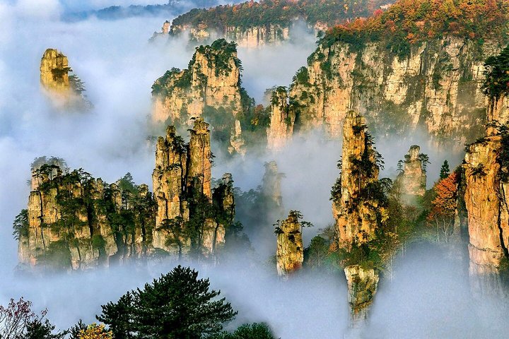 1-2 Days All-inclusive Tours: Mt Avatar, Glass Bridge, Mt Tianmen