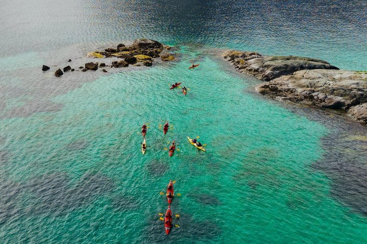 Explore Reinefjord by kayak (3 hours)
