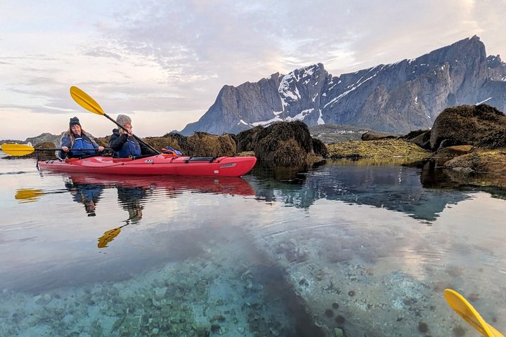 Explore Reinefjord by kayak (3 hours)