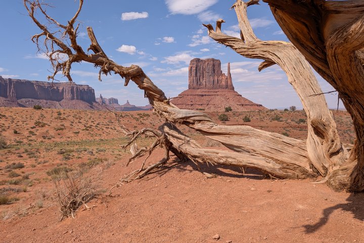 1.5 Hour Jeep Tour in Monument Valley