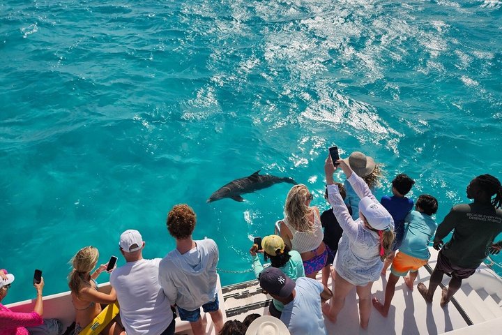 Half Day Snorkel from Providenciales with Visit to Half Moon Bay