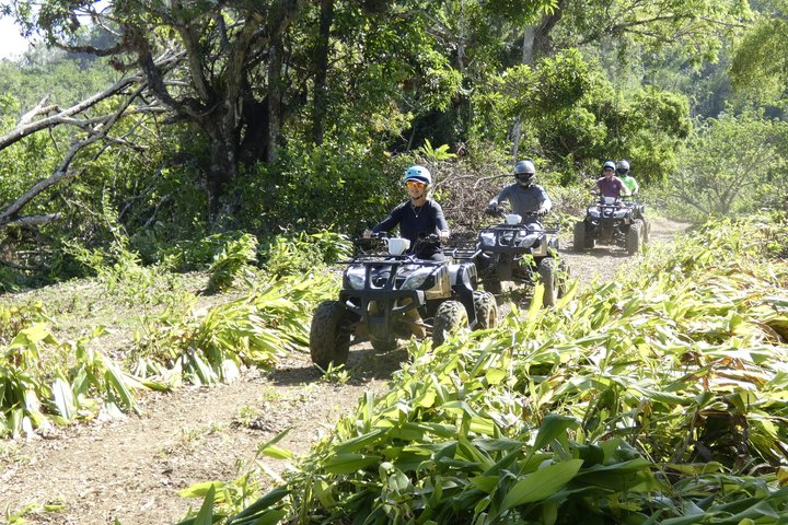 Bambuza ATV, Zipline and Horseback Adventure from Negril