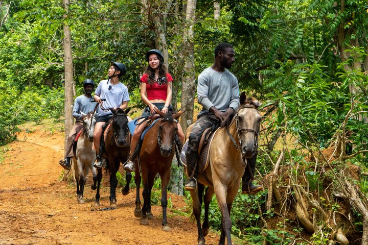 Bambuza ATV, Zipline and Horseback Adventure from Negril