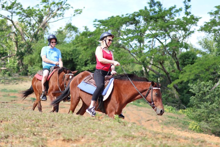 Bambuza ATV, Zipline and Horseback Adventure from Negril