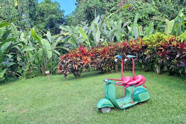 Death in Paradise Tour | Driver at Disposal