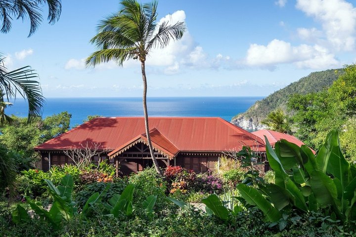 Death in Paradise Tour | Driver at Disposal