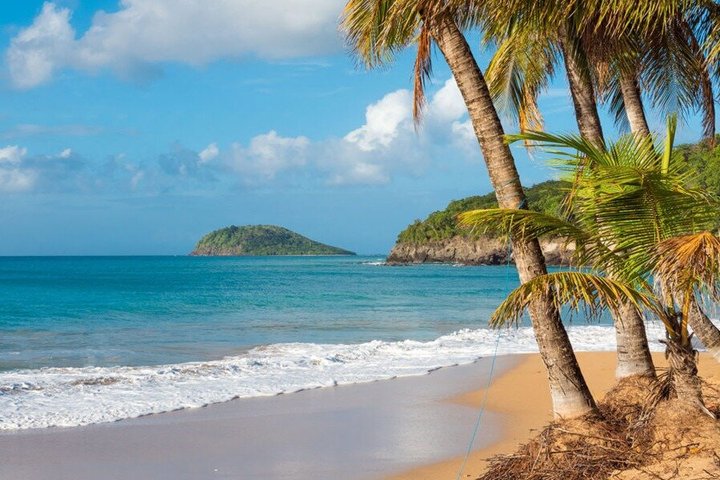 Death in Paradise Tour | Driver at Disposal