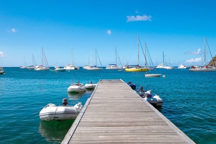 Death in Paradise Tour | Driver at Disposal