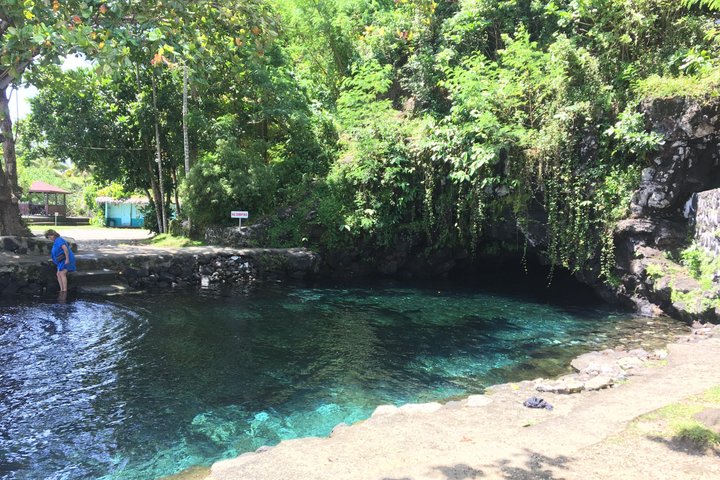 Apia Samoa : Full Day, Cruise Ship Excursion