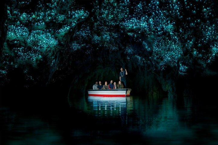 Hobbiton & Waitomo Glowworm Caves Tour with Lunch from Auckland