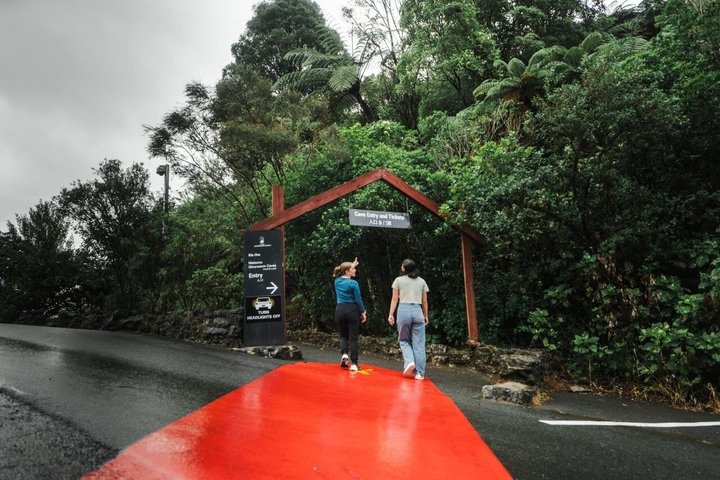 Hobbiton & Waitomo Glowworm Caves Tour with Lunch from Auckland