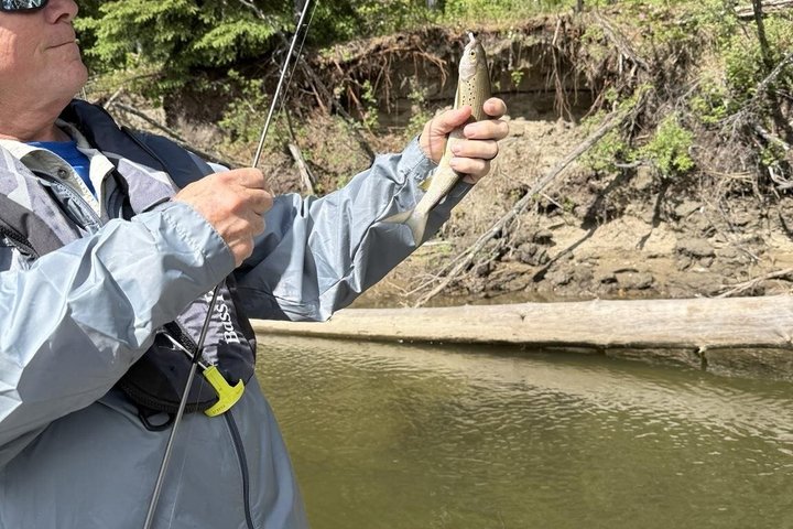 Guided Fishing Adventure On The Chena River By Boat