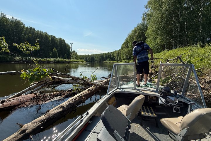 Guided Fishing Adventure On The Chena River By Boat