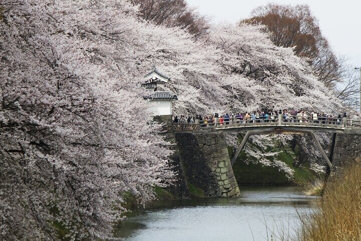 Yamagata 8 Hour Private Tour with Licensed Guide and Vehicle