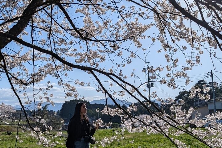 Yamagata 8 Hour Private Tour with Licensed Guide and Vehicle