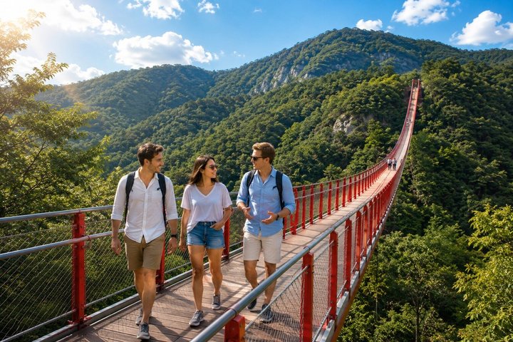 Best DMZ Tour Seoul: Defector Q&A, 3rd Tunnel & Suspension Bridge