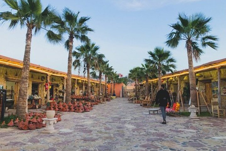 Taghazout Goat Trees & Souk El Had and hotel pickup included