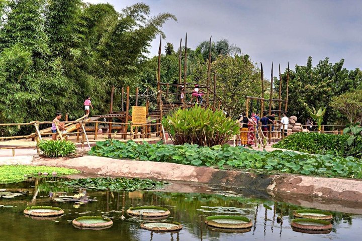 agadir crocoparc tickets with pick-up and return transfer All-Inclusive