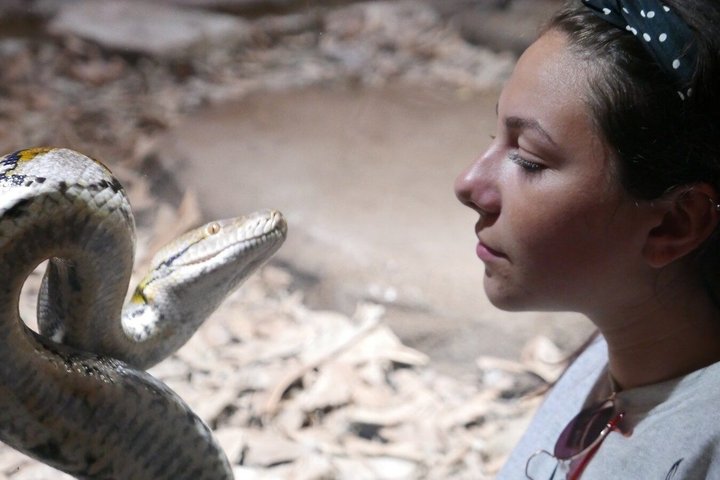 agadir crocoparc tickets with pick-up and return transfer All-Inclusive