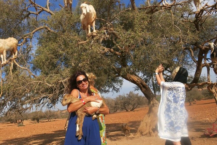 Taghazout Goat Trees & Souk El Had and hotel pickup included
