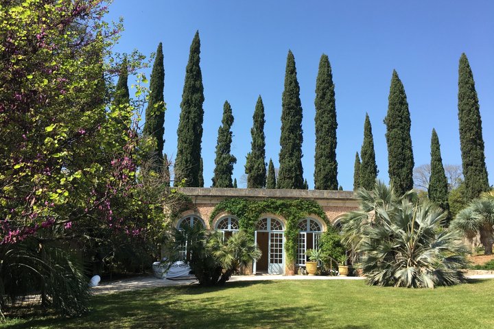 Private Historic Walk and Tastings in Montpellier
