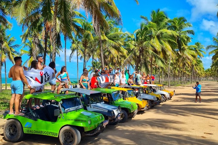 Private transfer from Recife airport to Port de Galinhas