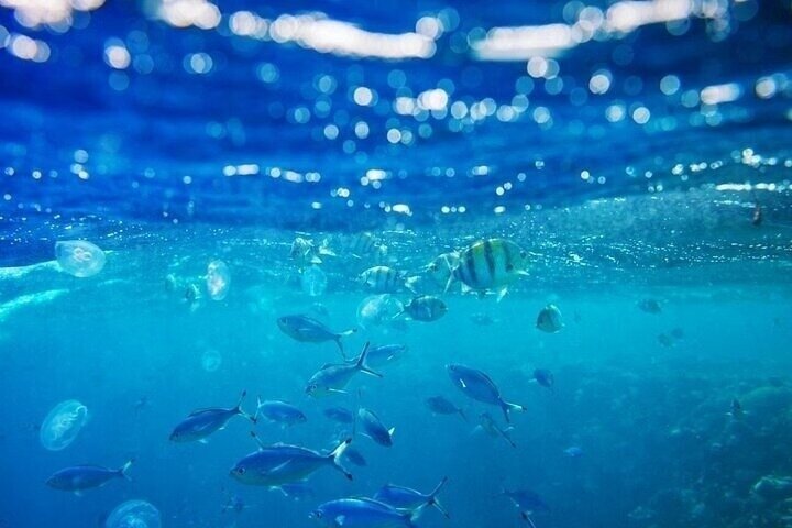 Ras Mohammed Snorkeling, Magic Lake & Allah Gate- Sharm El Sheikh