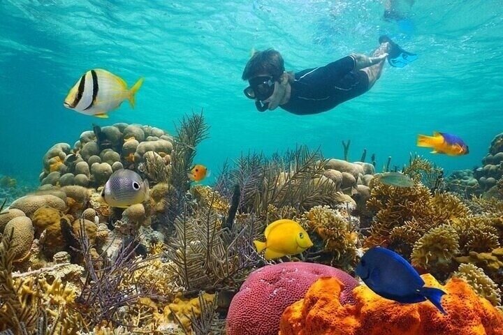 Ras Mohammed Snorkeling, Magic Lake & Allah Gate- Sharm El Sheikh
