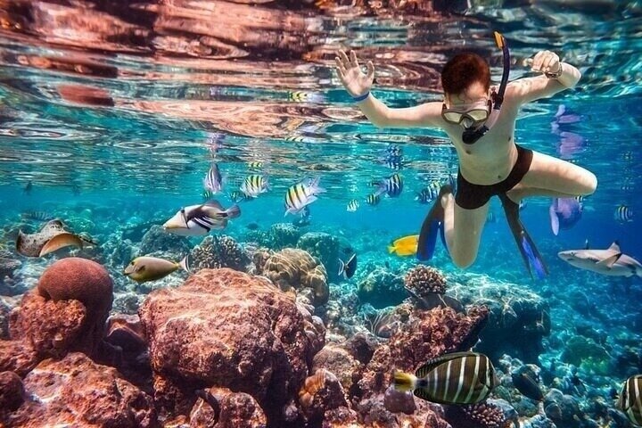 Ras Mohammed & White Island Snorkeling & Diving – Sharm El Sheikh