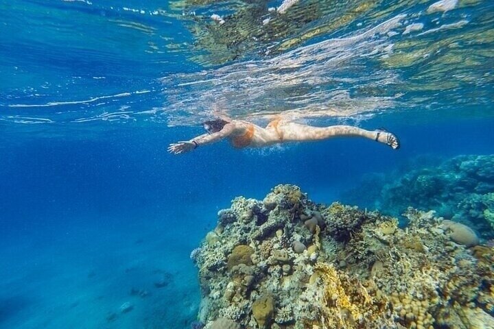 Ras Mohammed & White Island Snorkeling & Diving – Sharm El Sheikh