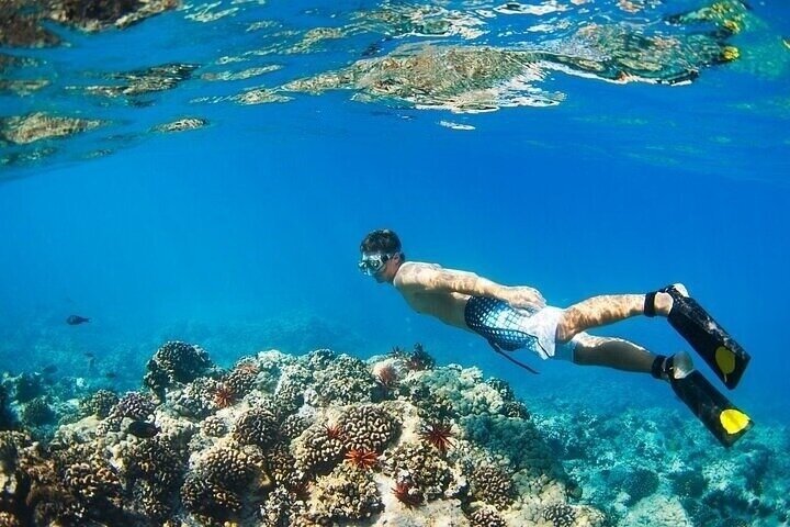 Ras Mohammed Snorkeling, Magic Lake & Allah Gate- Sharm El Sheikh