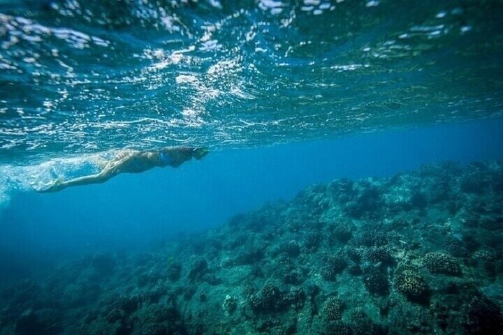Ras Mohammed Snorkeling, Magic Lake & Allah Gate- Sharm El Sheikh
