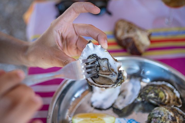 Private Half Day Wine and Oyster Tasting Tour from Cap d'Agde