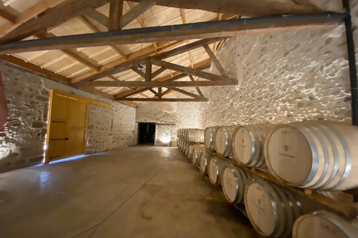 Private Half-Day Languedoc Wine Tour from Cap d'Agde