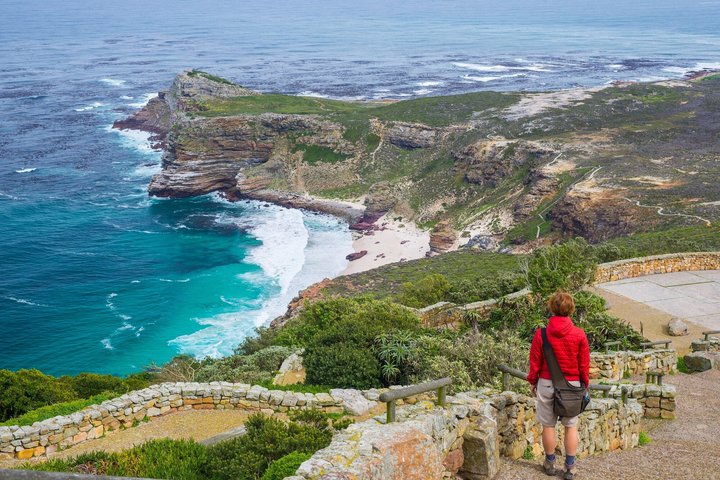 Half Day Boulders Penguins and Cape Point Small Group Tour