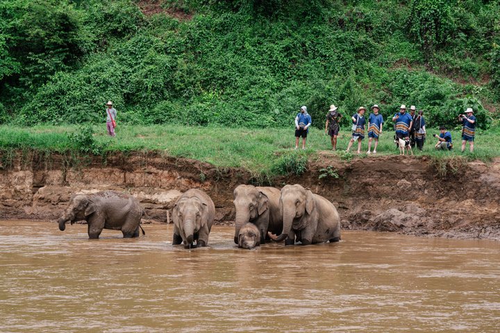 Chiang Mai Elephant Sanctuary, Bamboo Rafting and Waterfall Tour