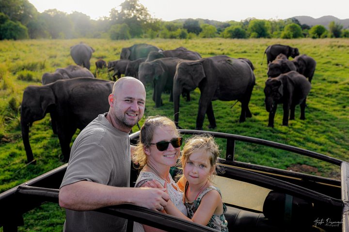Minneriya National Park Half Day Private Safari With Expert Guide
