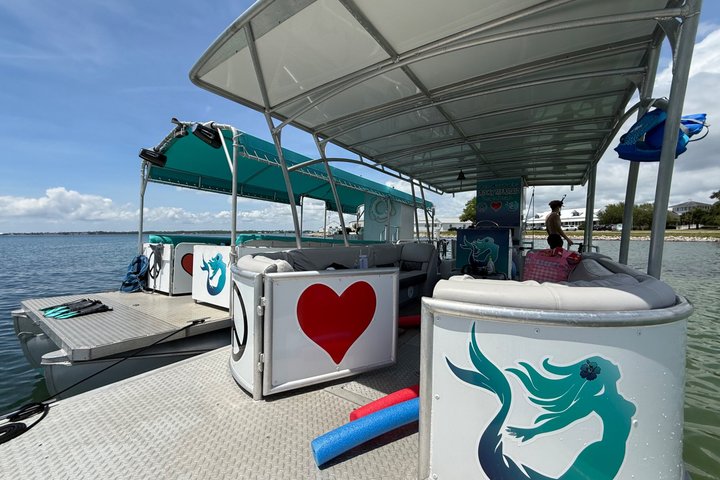 Pensacola Beach Dolphin Cruise + Beach Stop + Reef Snorkeling
