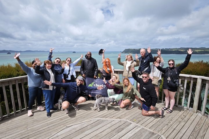 Cathedral Cove & Hot Water Beach Small-Group Tour with Lunch
