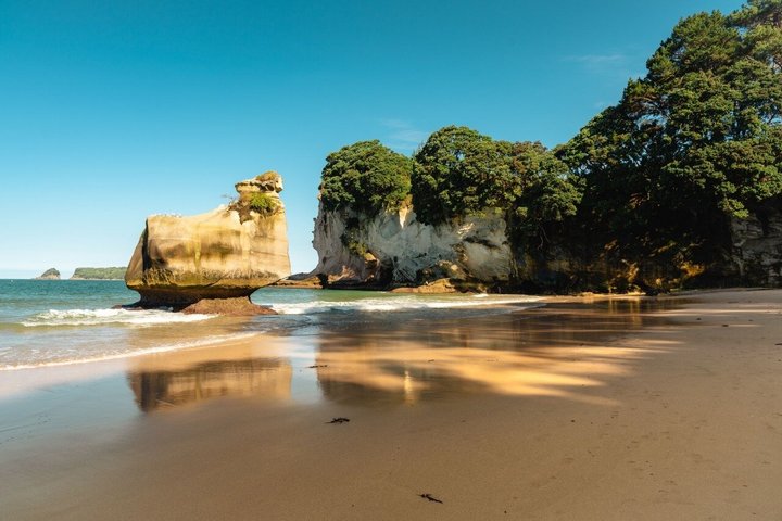Cathedral Cove & Hot Water Beach Small-Group Tour with Lunch