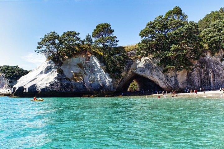 Cathedral Cove & Hot Water Beach Small-Group Tour with Lunch