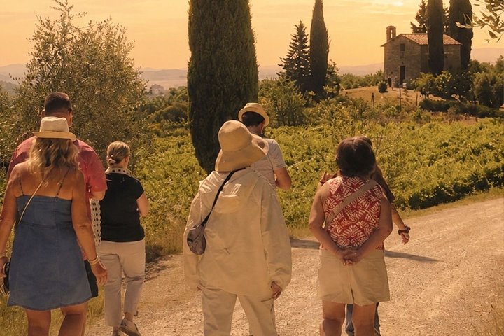 Siena: Chianti Sunset Tour with Dinner & Wine Tasting