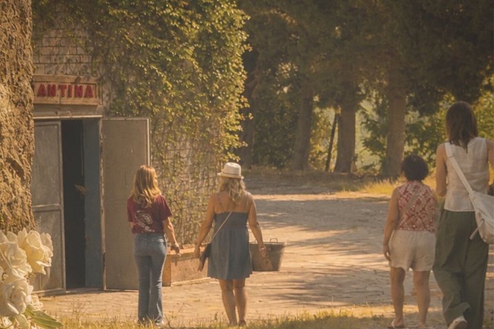 Siena: Chianti Sunset Tour with Dinner & Wine Tasting
